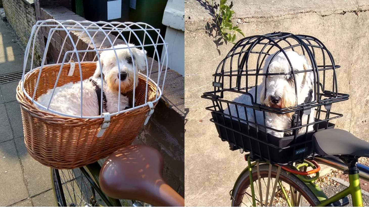 Dog basket hot sale for motorcycle