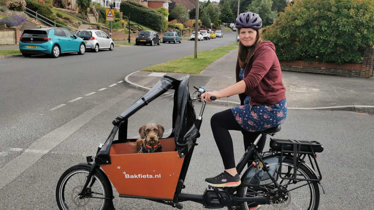 can you put dog in a human bike trailer