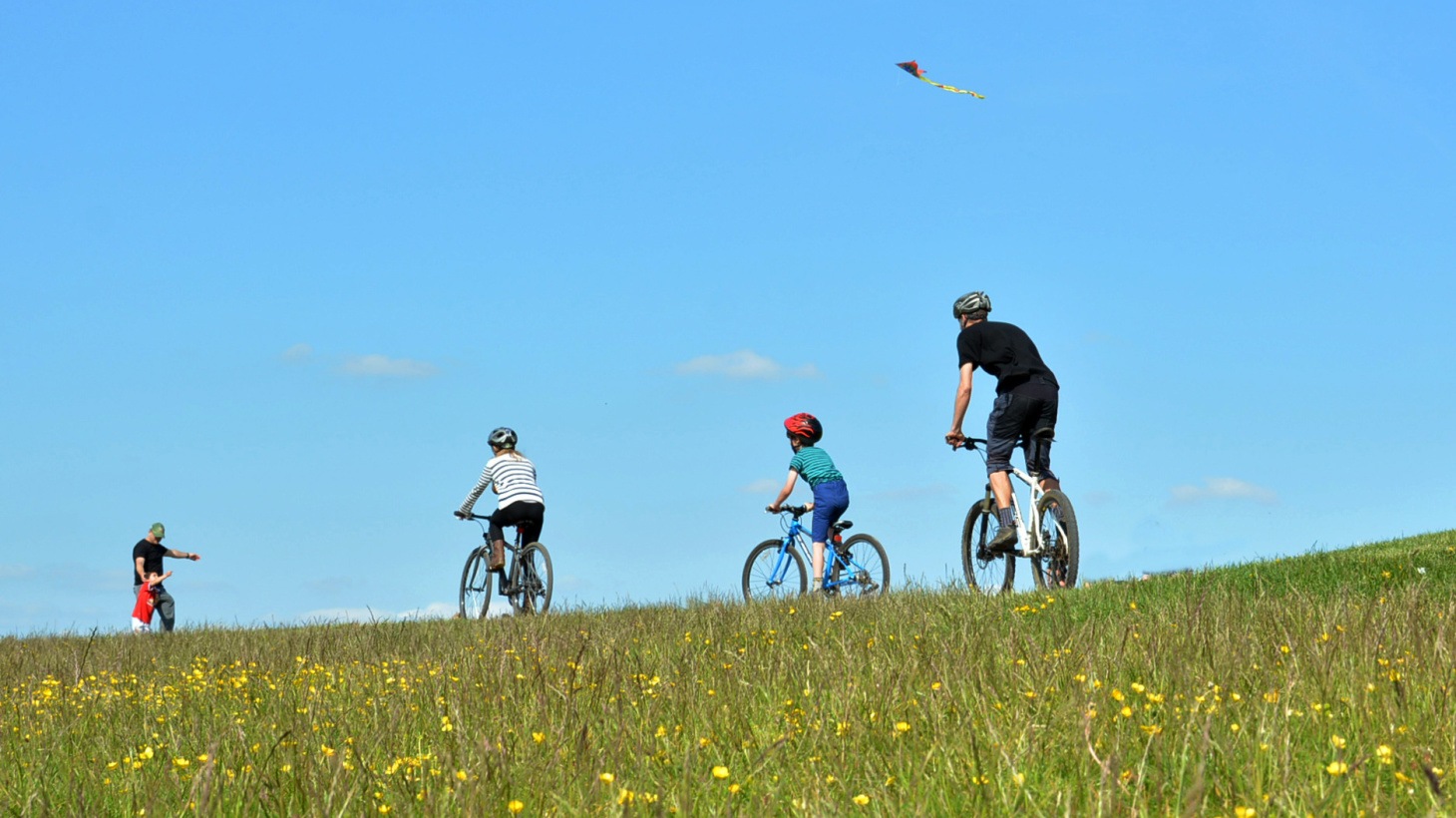 Best cycle for clearance cycling