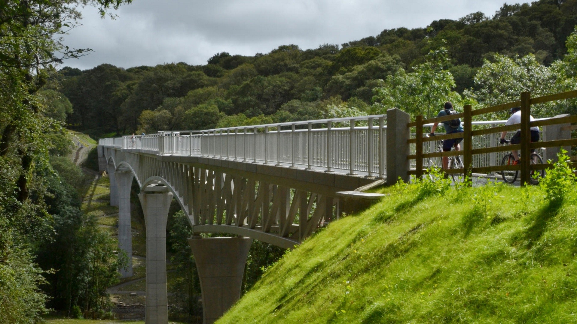 Plym valley deals cycle trail