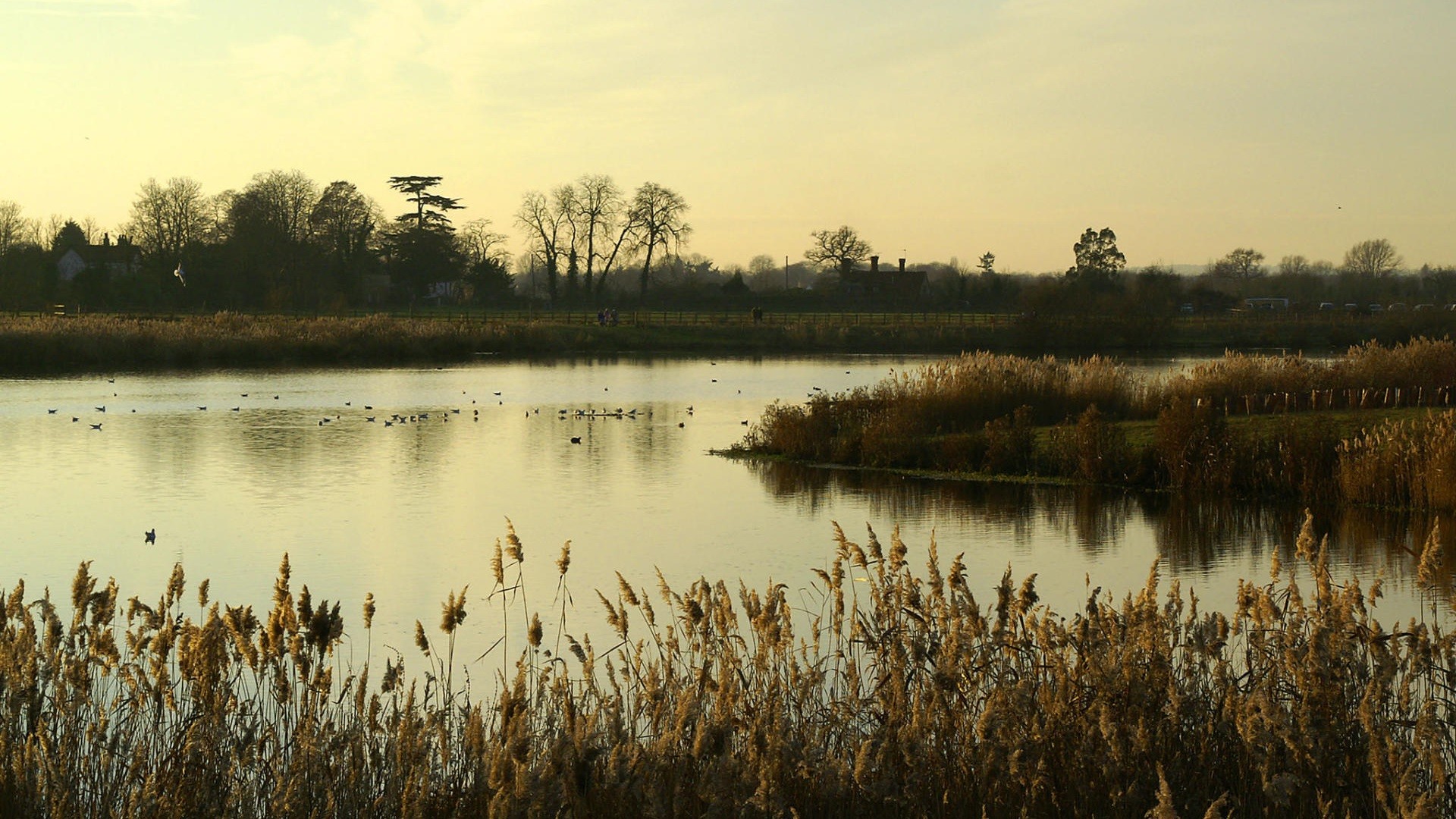 Rainham Marshes Sustrans Org Uk   2292 