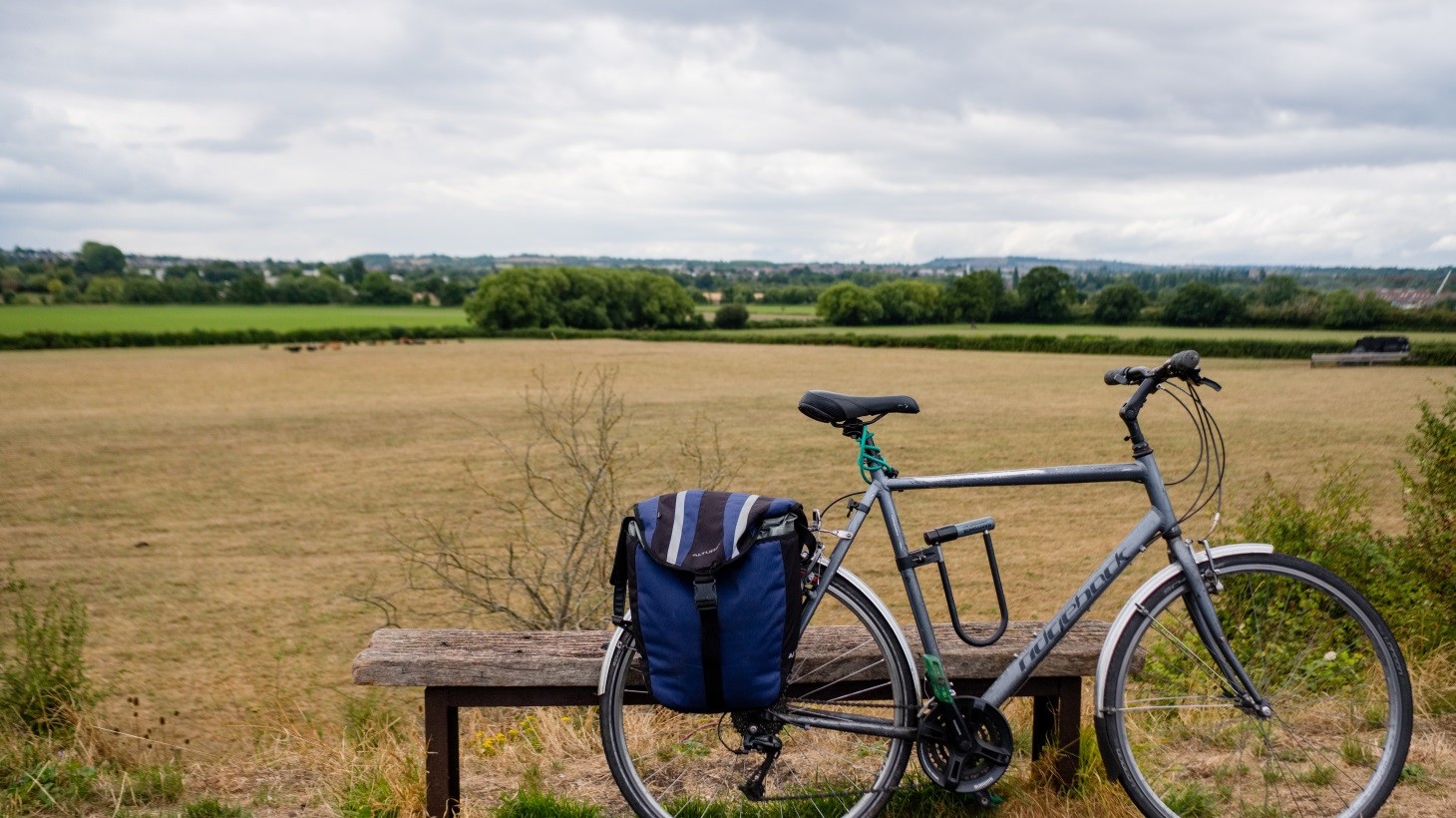 cheddar walking bike