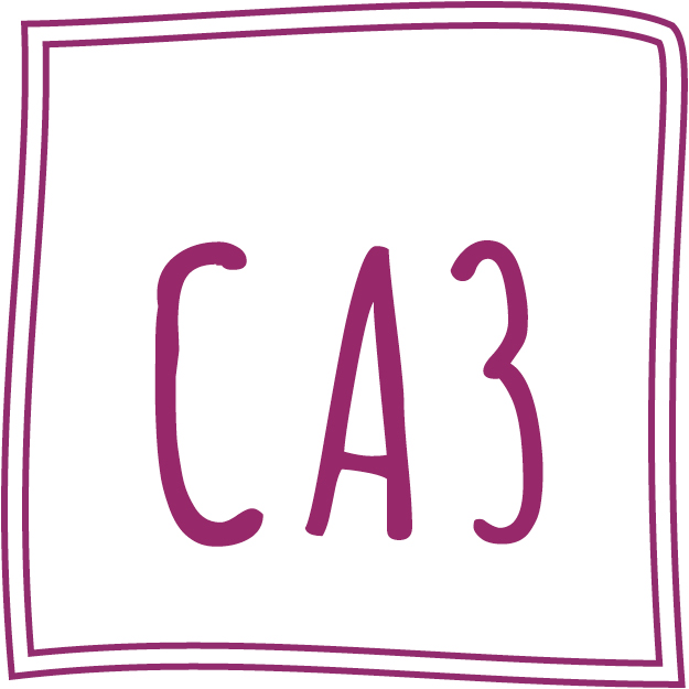 CA3