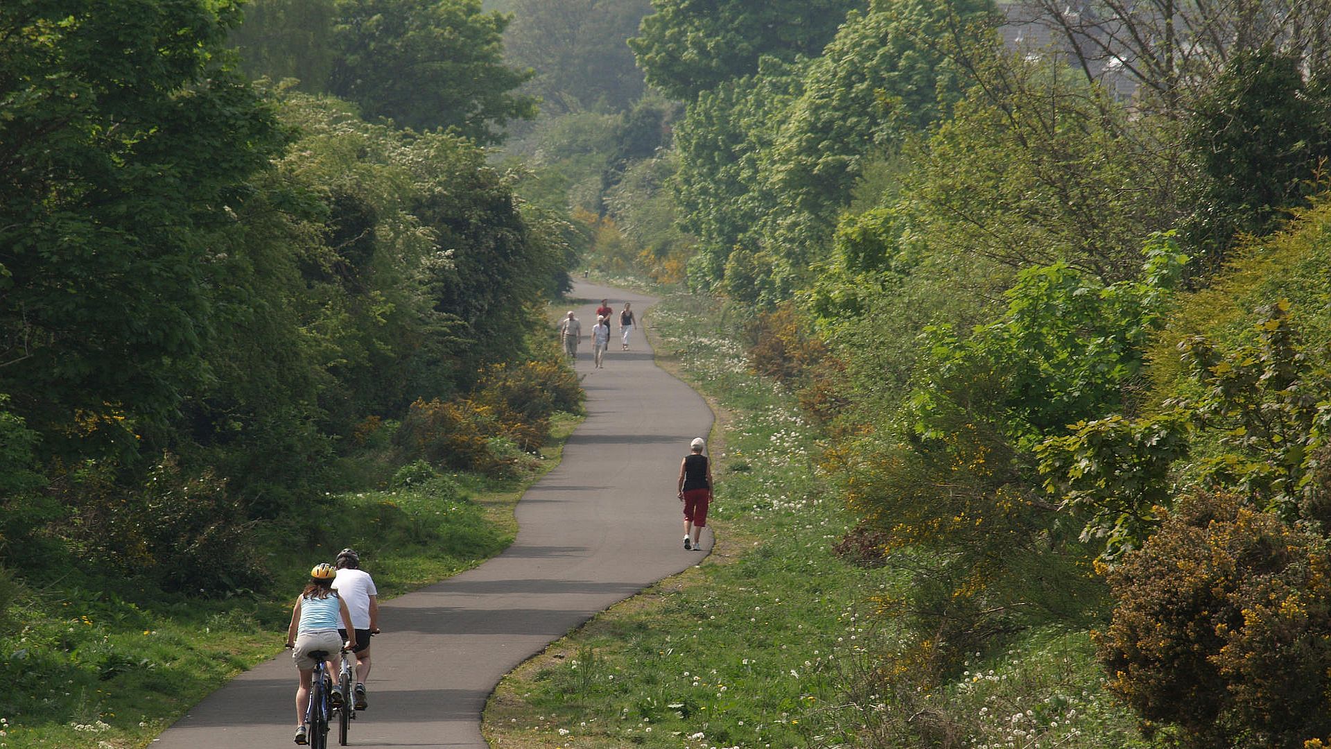 Billy neill best sale bike track